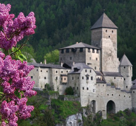 Schloss Tirol © Eder - shutterstock.com