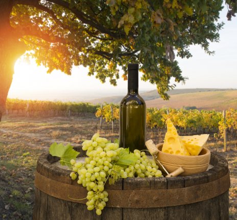Weinprobe in der Toskana © kishivan - stock.adobe.com