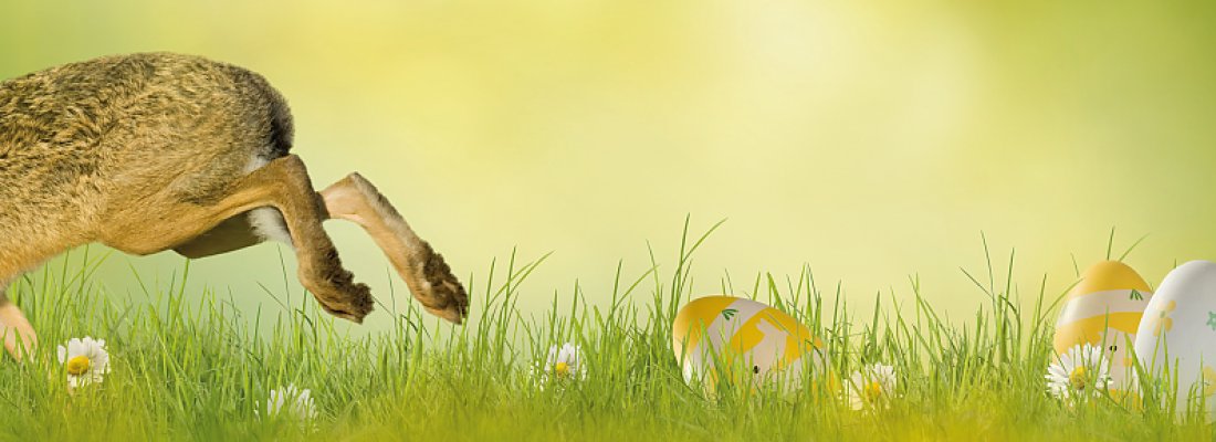 Frohe Ostern