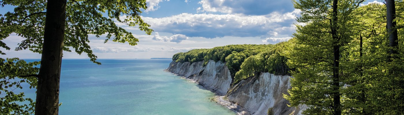 Kreidefelsen auf der Insel Rügen