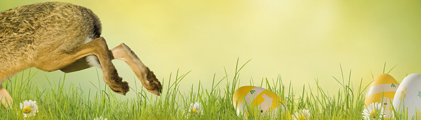 Frohe Ostern