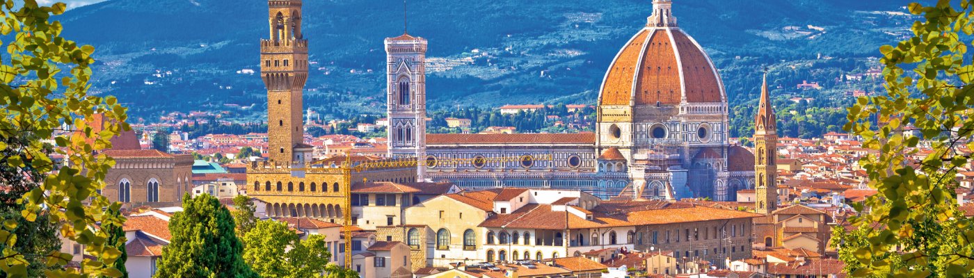 Blick auf Florenz