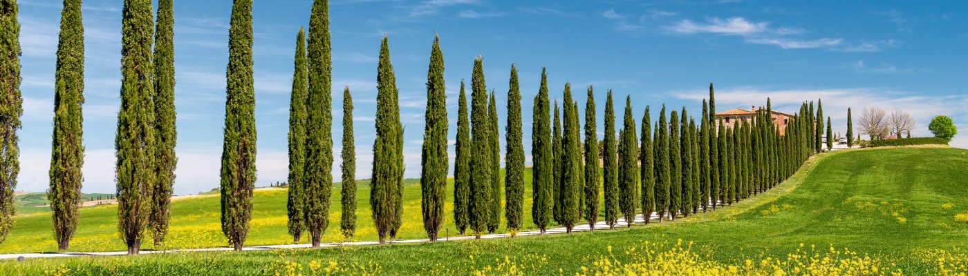 Toskanalandschaft