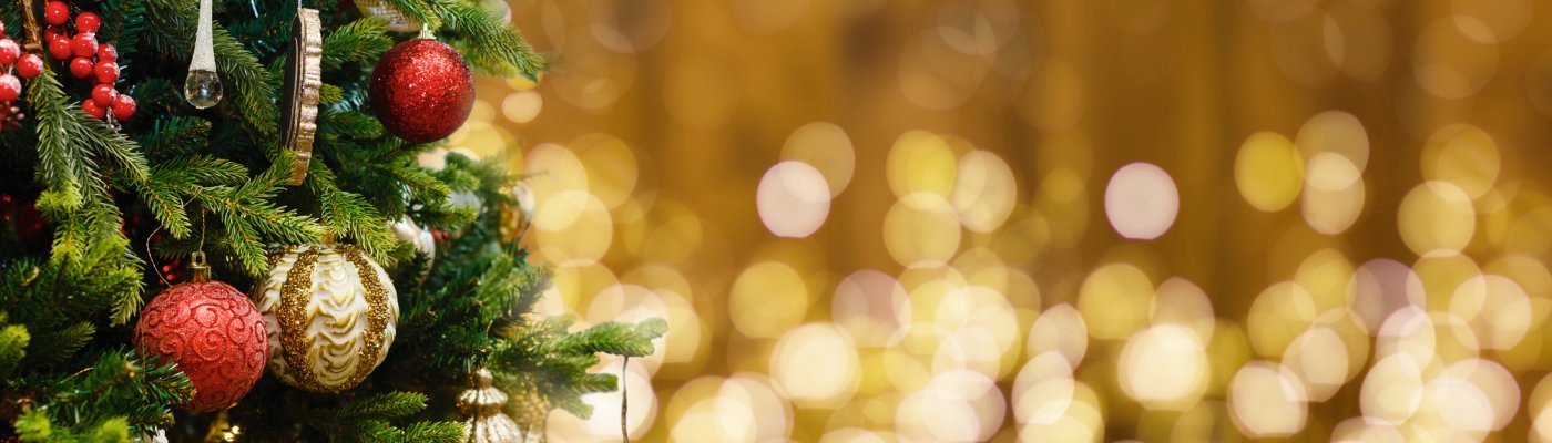 Adventreisen ab Ingolstadt Weihnachtsdekoration