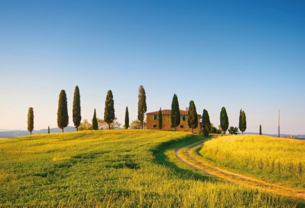 Herrliche Toskanalandschaft © ronnybas - fotolia.com