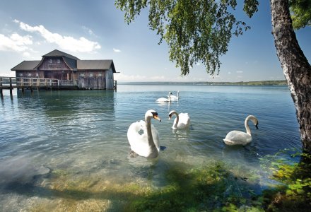 Bootshaus am Ammersee © Jenny Sturm - fotolia.com