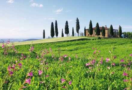 Toskanische Landschaft © LianeM - Fotolia.com