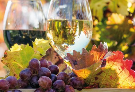 Weinprobe in der Steiermark © doris oberfrank-list-stock.adobe.com