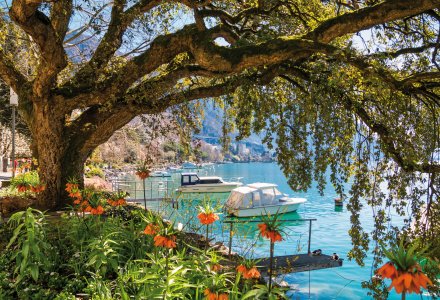Idylle am Genfer See bei Montreux © Michal Ludwiczak-fotolia.com