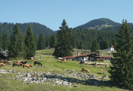 Winklmoosalm © Tourist-Info Reit im Winkl