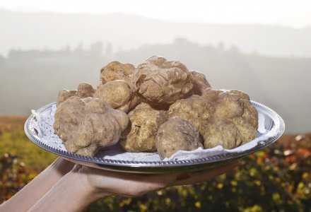 Trüffel © Maurizio Milanesio-fotolia.com