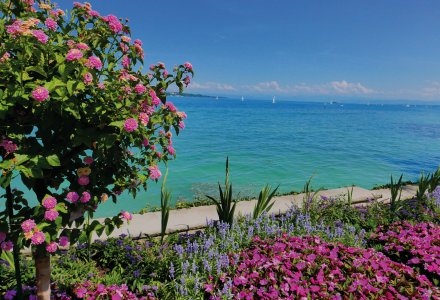 Insel Mainau © Susanne - stock.adobe.com