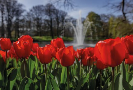 Keukenhof &copy; Keukenhof Holland