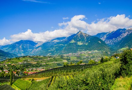 Blick auf die Mutspitze © eberwolf-stock.adobe.com