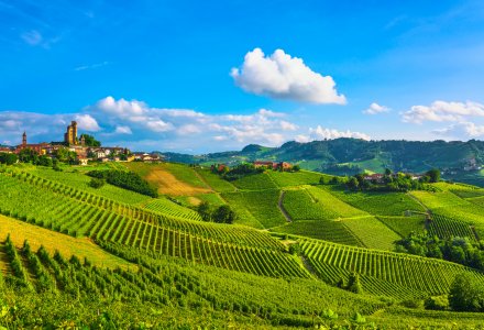 Weinberge in Serralunga d'Alba © stevanzz-stock.adobe.com
