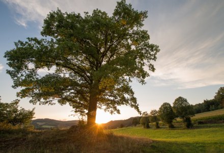  ©  Andi / fotolia.com