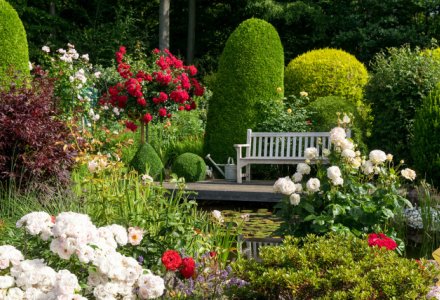 Rosengarten -  ©  Kara / fotolia.com