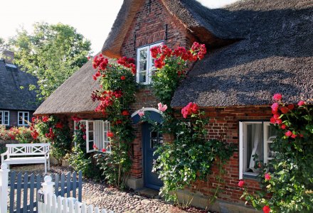 Friesenhaus auf Föhr &copy; Foehr Tourismus GmbH/ Folker Winkelmann
