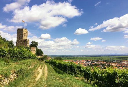 Burgruine Wachtenburg  © Patrick P. Palej - stock.adobe.com