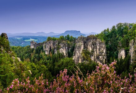 Landschaft im Elbsandsteingebirge &copy; makasana photo - stock.adobe.com