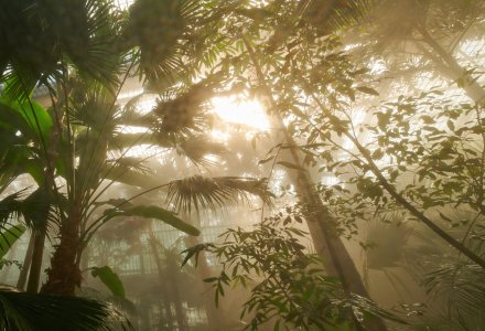 Palmenhaus - Palmengarten Frankfurt © Tom Wolf/Palmengarten   