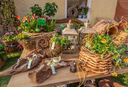 Schloss Guteneck Gartentage © Schloss Guteneck