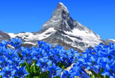 Matterhorn &copy; vencav - stock.adobe.com