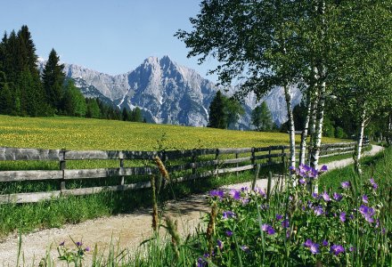 Sommerlandschaft Leutasch &copy; Olympiaregion Seefeld