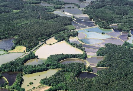 Teichpfanne © TV Ostbayern e.V.