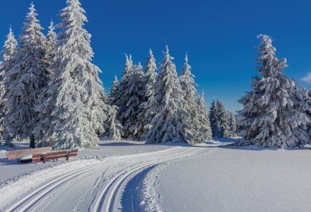 Winterzauber im Thüringer Wald &copy; Oliver Hlavaty - stock.adobe.com