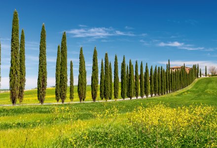 Toskanalandschaft &copy; jovannig - stock.adobe.com