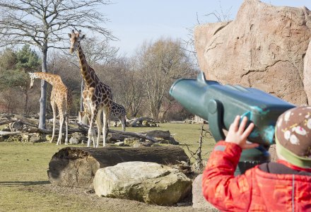 Zoo Leipzig - Giraffen auf der Savanne beobachten © Zoo Leipzig