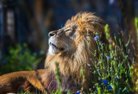 Münchener Tierpark Hellabrunn © Tierpark Hellabrunn/Christian Seemann
