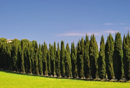 Toskanalandschaft © Peter Eckert